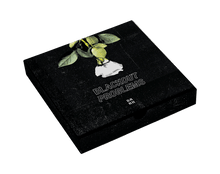 Lade das Bild in den Galerie-Viewer, BLACKOUT PROBLEMS - DARK - (Limited Vinyl Box Set)